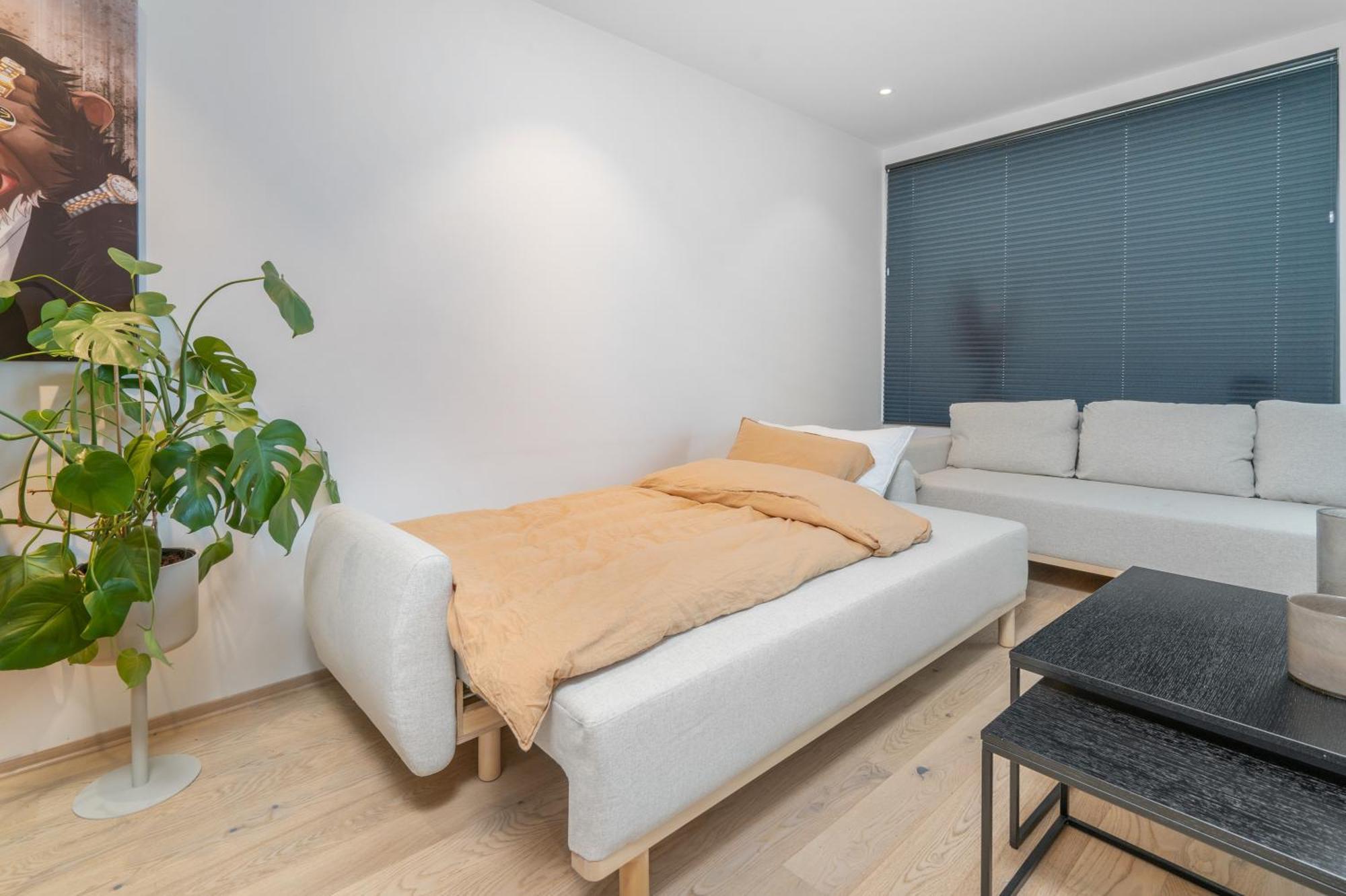 Monkey Business In Kings Park Apartment ทรอมโซ ภายนอก รูปภาพ