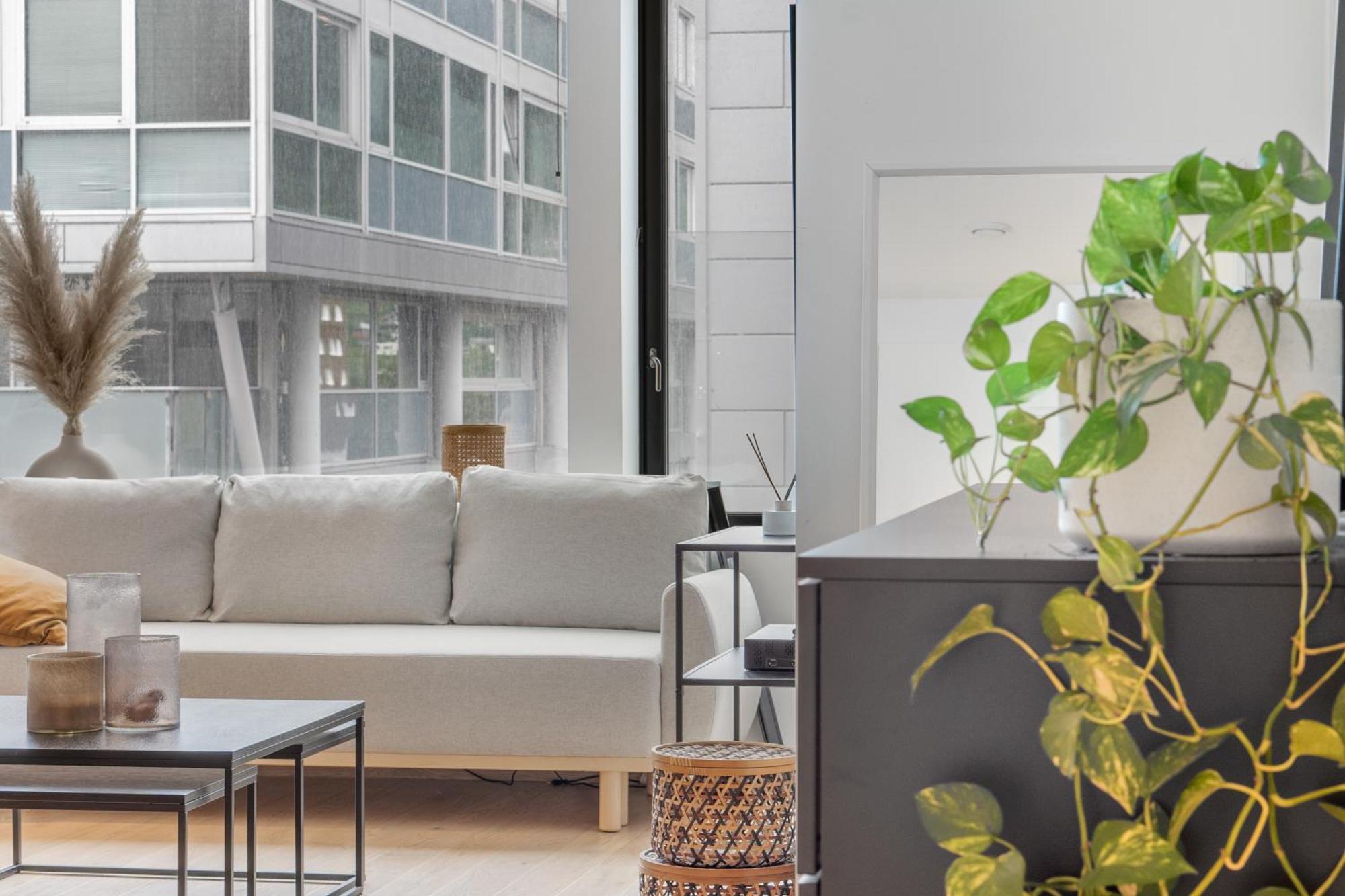 Monkey Business In Kings Park Apartment ทรอมโซ ภายนอก รูปภาพ